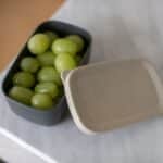 Lunchbox en matière organique bio-circulaire - Taille S