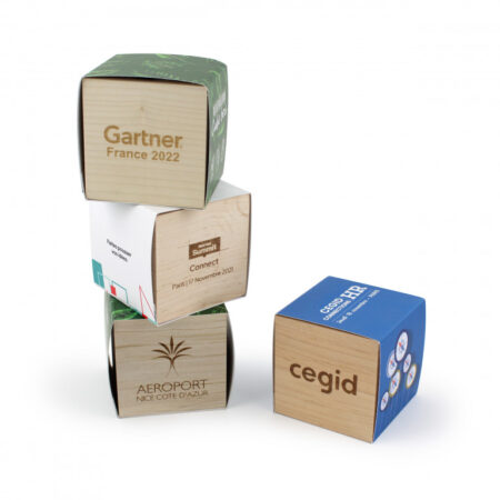 Cube en Bois - Kit de Graines à Planter – vue 2