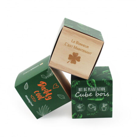 Cube en Bois - Kit de Graines à Planter
