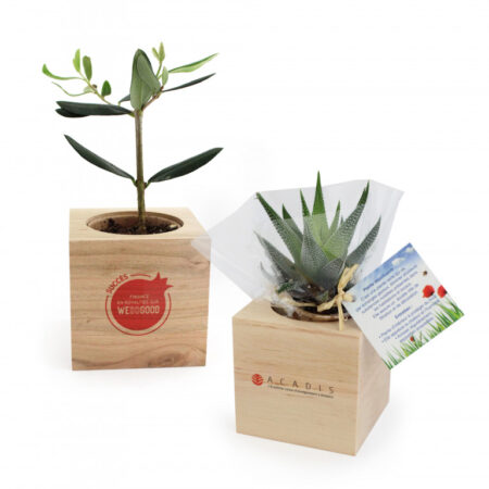 Cube en Bois Naturel avec Arbre ou Plante