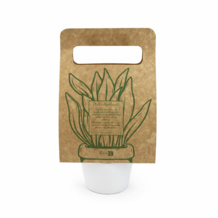 Plante portative avec papier en kraft – vue 2