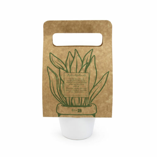 Plante portative avec papier en kraft – vue 2