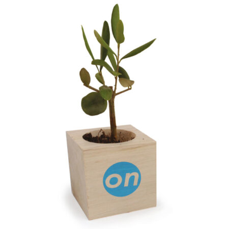 Cube en Bois Naturel avec Arbre ou Plante – vue 2