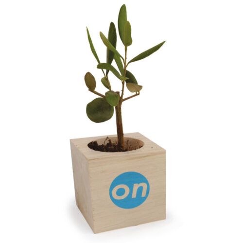 Cube en Bois Naturel avec Arbre ou Plante – vue 2
