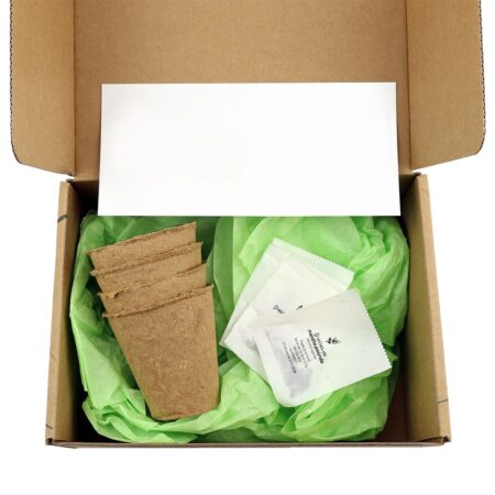 Box tisane personnalisée – Coffret de graines spéciales tisanes pour entreprise – vue 2