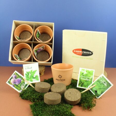 Coffret aromatique en bois personnalisé – Kit de plantation 4 aromates