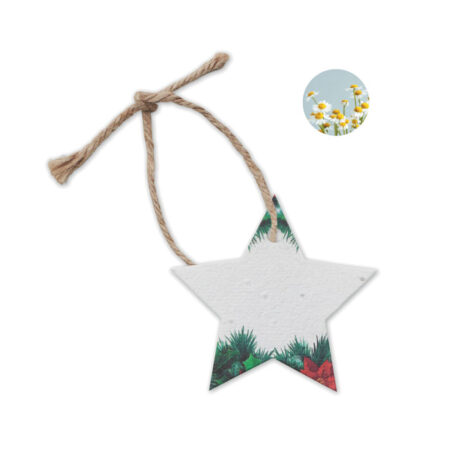 Étoile de Noël en papier graines à planter Ø8cm