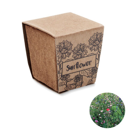 Kit de graines de tournesol à planter