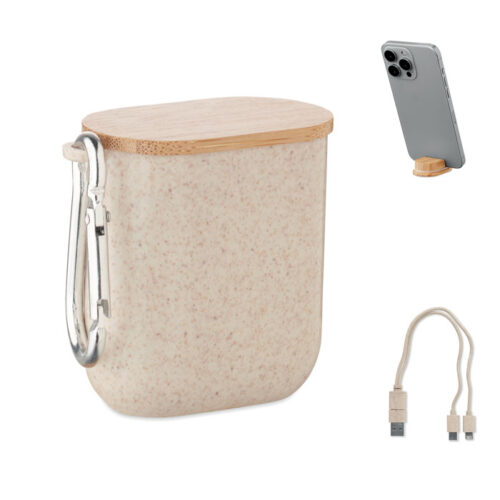 Boîtier multi-câbles de recharge compact