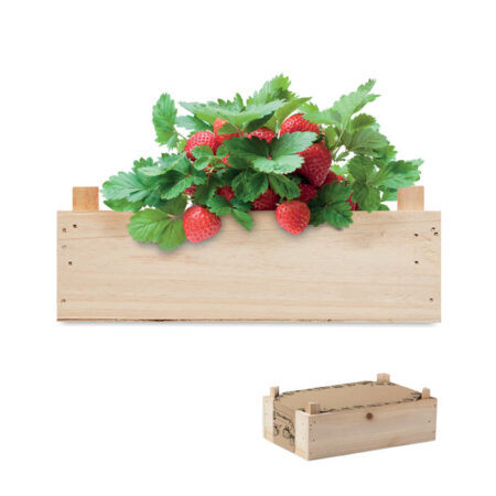 Kit graines de fraises boîte bois à planter
