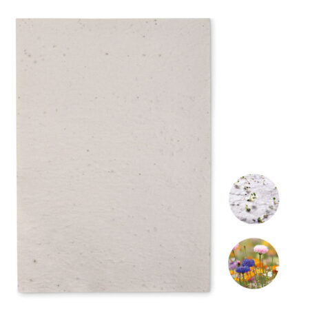 Feuille A4 papier graines de fleurs