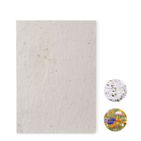 Feuille A5 papier graines de fleurs