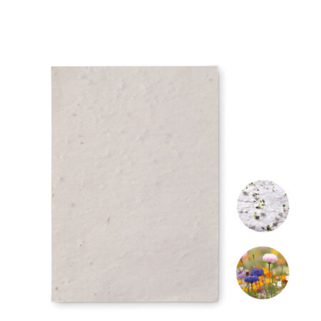 Carte A6 papier graines de fleurs