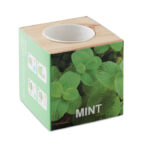 Pot en bois avec graines de menthe à faire pousser