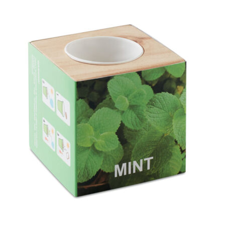 Pot en bois avec graines de menthe à faire pousser