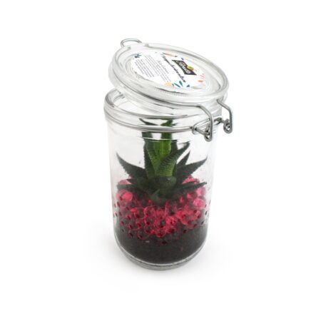 Plante en bocal personnalisée – Goodie végétal écologique