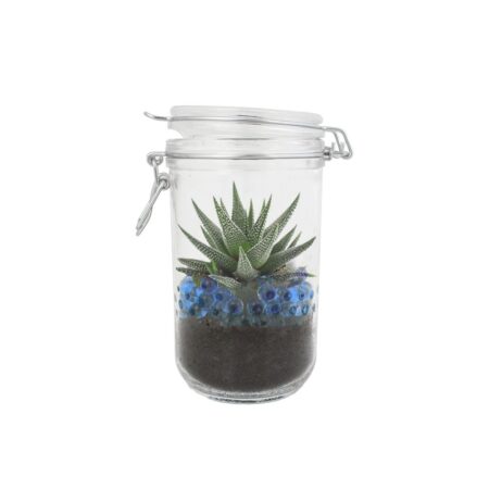 Plante en bocal personnalisée – Goodie végétal écologique – vue 2