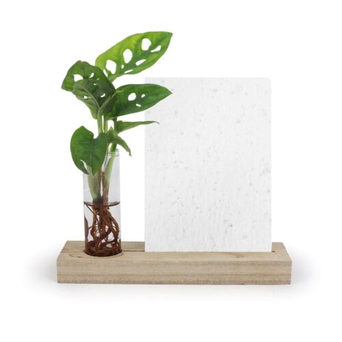 Support vase floral personnalisé – Plante décorative avec papier graines