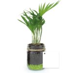 Plante en bocal personnalisée avec étiquette – vue 3
