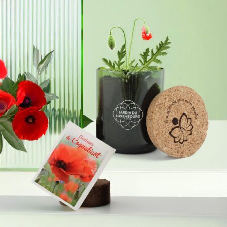 Kit plantation bouteille recyclée personnalisé – vue 2