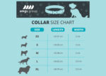 Collier pour chien personnalisé - Made in Europe – vue 2