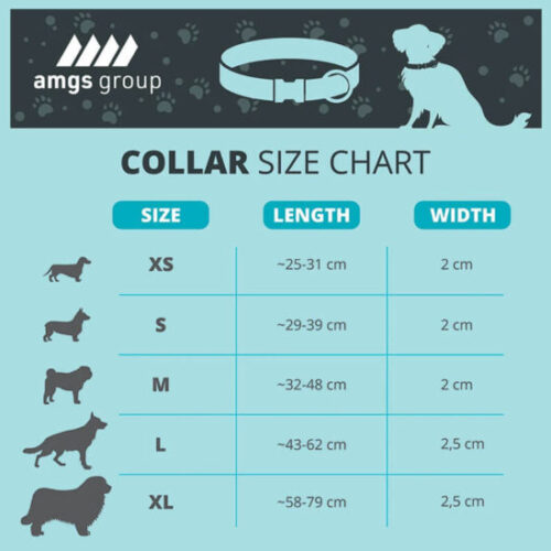 Collier pour chien personnalisé - Made in Europe – vue 2