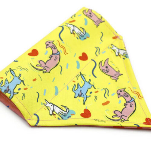 Bandana pour chien personnalisé - Made in Europe