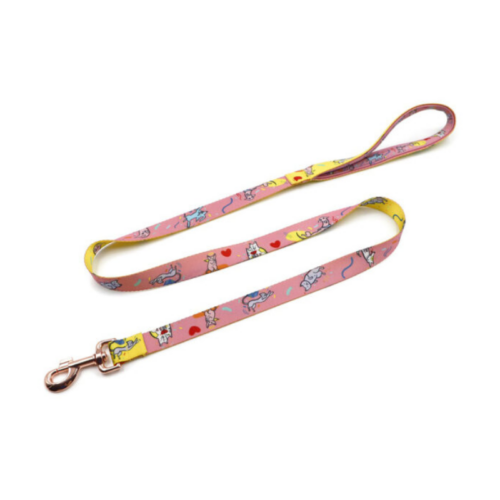 Laisse pour chien personnalisée - Made in Europe