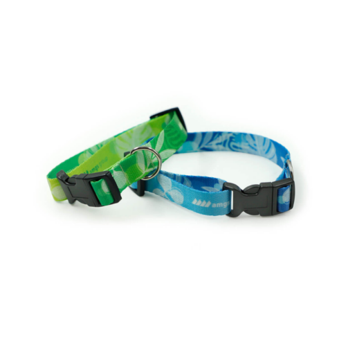 Collier pour chien personnalisé - Made in Europe