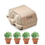 Kit à Planter - 4 Pots en Terre Cuite