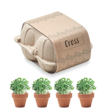 Kit à Planter - 4 Pots en Terre Cuite