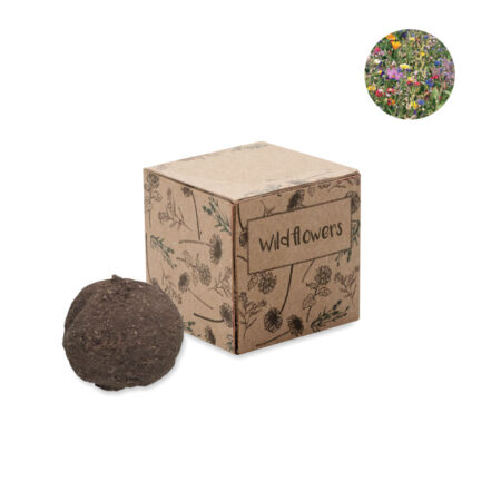 Kit de Culture de Graines - Fleurs Sauvages