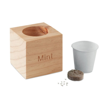 Pot en bois avec graines de menthe à faire pousser – vue 2