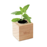 Pot en bois avec graines de menthe à faire pousser – vue 3