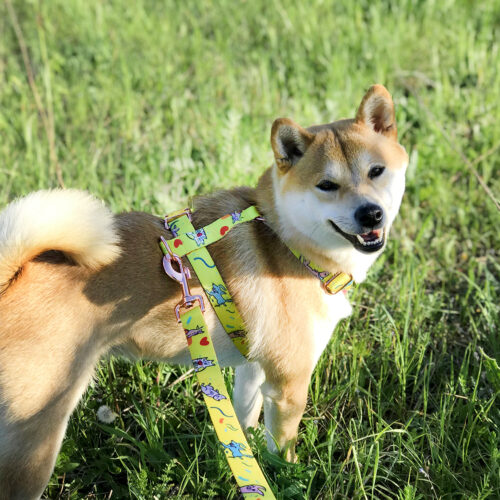Harnais pour chien personnalisé - Made in Europe – vue 2