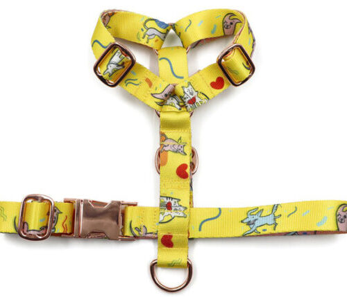 Harnais pour chien personnalisé - Made in Europe