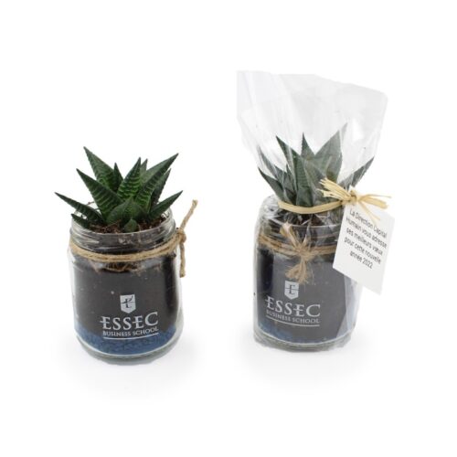 Plante en bocal personnalisée avec étiquette