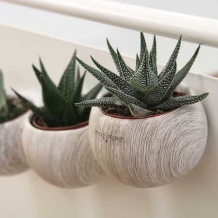 Plante en pot céramique aimanté effet bois personnalisée – vue 2