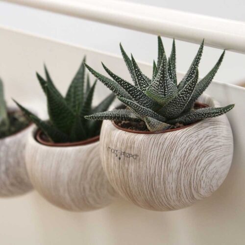 Plante en pot céramique aimanté effet bois personnalisée – vue 2