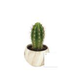 Plante en pot céramique aimanté effet bois personnalisée – Image 3