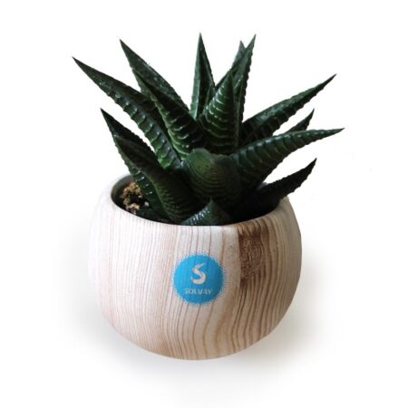 Plante en pot céramique aimanté effet bois personnalisée