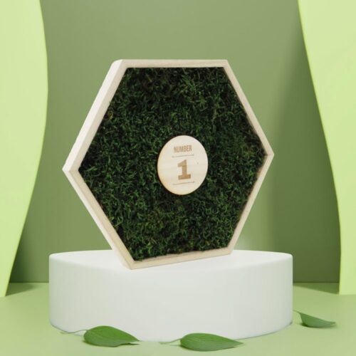 Trophée mousse végétale hexagonal personnalisé – vue 2