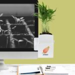 Végétal box plante personnalisée – Image 2