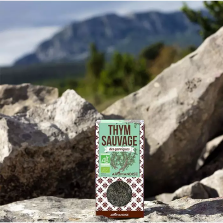 Aromates bio personnalisables – thym, romarin, ail des ours – vue 2