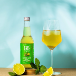 Kombucha bio 33cl personnalisable – boisson pétillante française – vue 4